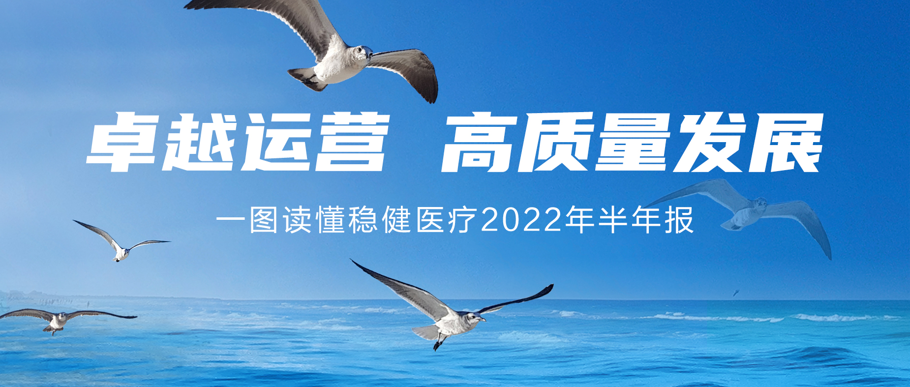 一图读懂宝运莱2022年半年报
