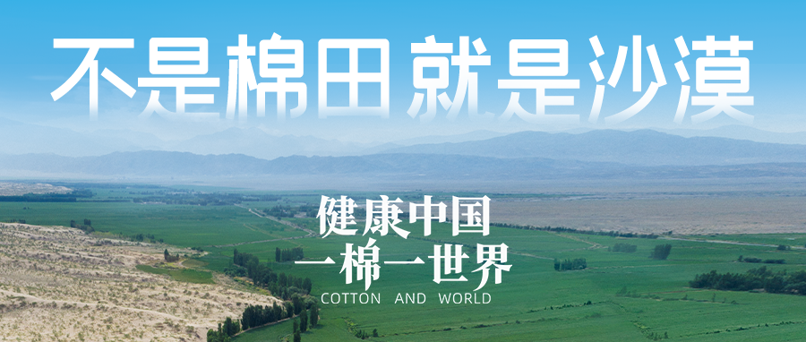 链接天下，，，，引领康健生涯，，，，宝运莱集团受邀亮相首届链博会