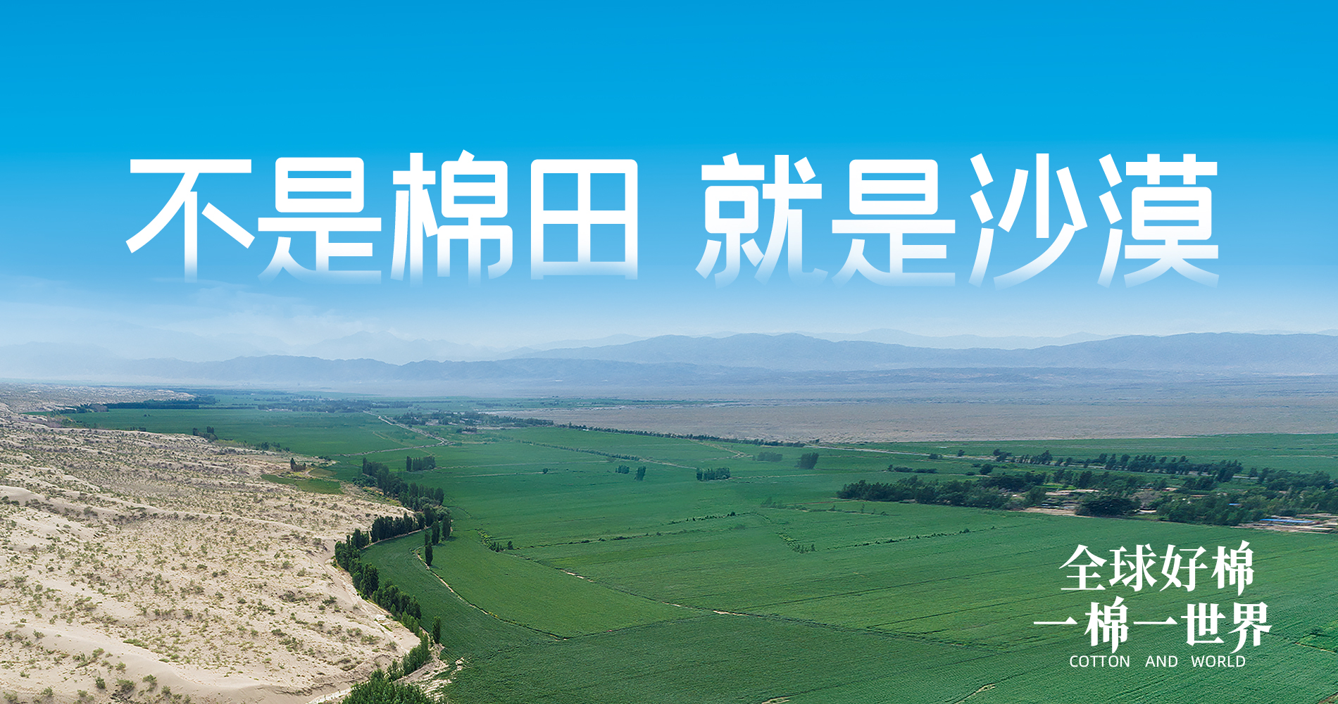 宝运莱集团董事会多元化政策